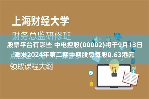 股票平台有哪些 中电控股(00002)将于9月13日派发2024年第二期中期股息每股0.63港元