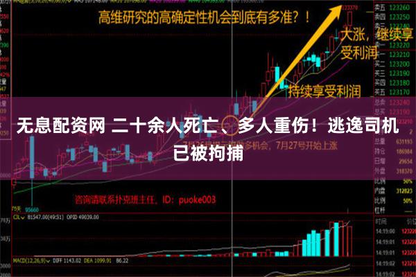 无息配资网 二十余人死亡、多人重伤！逃逸司机已被拘捕