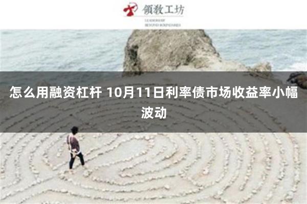 怎么用融资杠杆 10月11日利率债市场收益率小幅波动