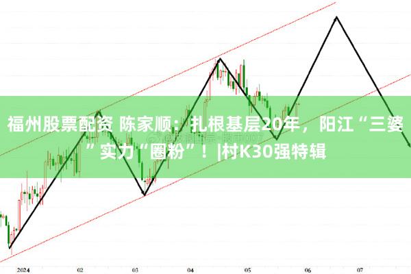 福州股票配资 陈家顺：扎根基层20年，阳江“三婆”实力“圈粉”！|村K30强特辑