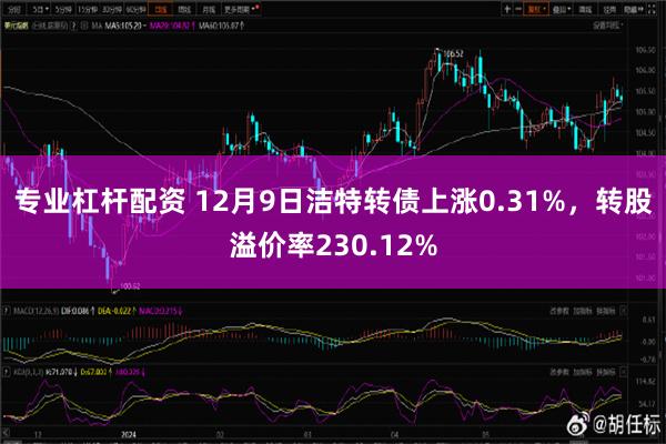 专业杠杆配资 12月9日洁特转债上涨0.31%，转股溢价率230.12%