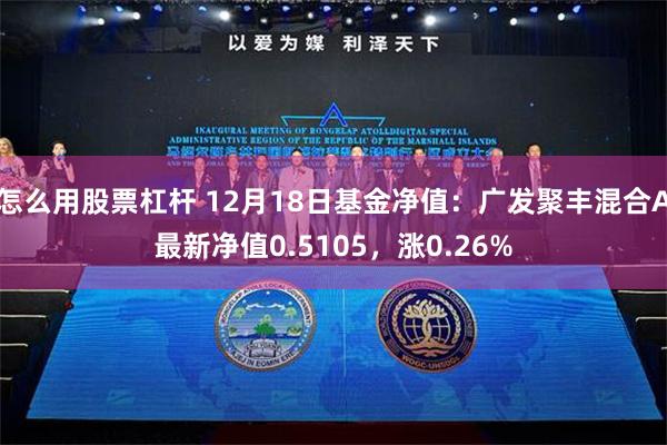 怎么用股票杠杆 12月18日基金净值：广发聚丰混合A最新净值0.5105，涨0.26%