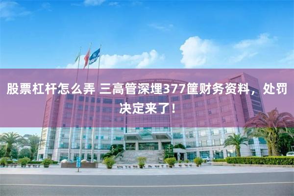 股票杠杆怎么弄 三高管深埋377筐财务资料，处罚决定来了！